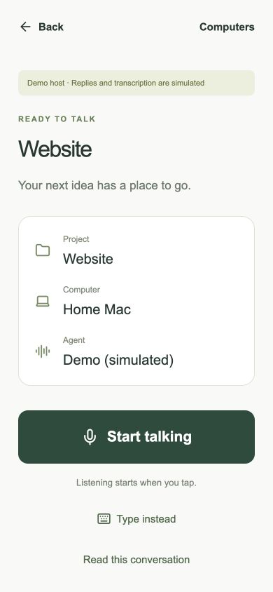 Ready to talk screen showing Website, Home Mac, the demo agent, and Start talking