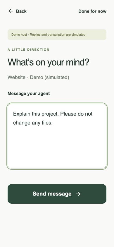 Typed message screen with a request to explain the project without changing files and the Send message button